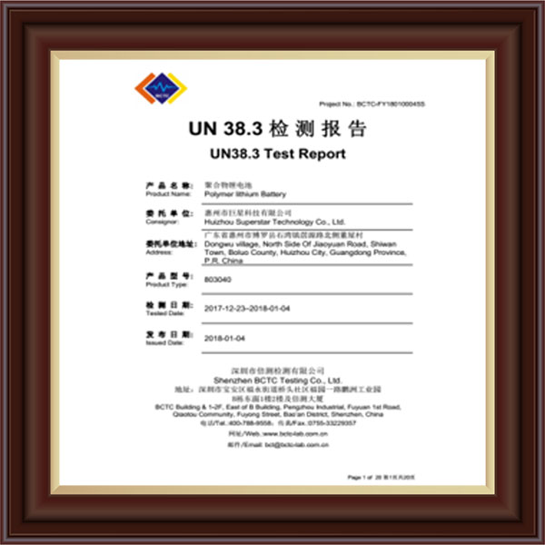 檢測報告
