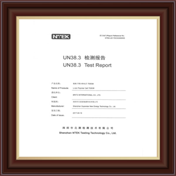 檢測報告