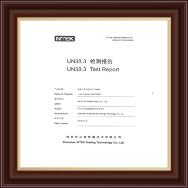 檢測報告